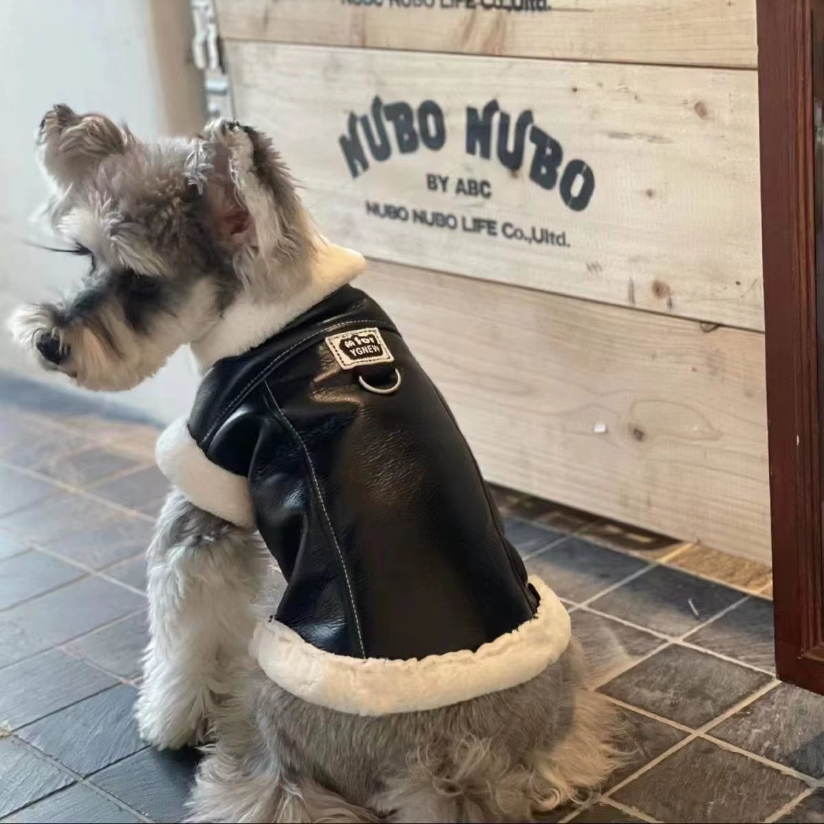 Pet Costumes