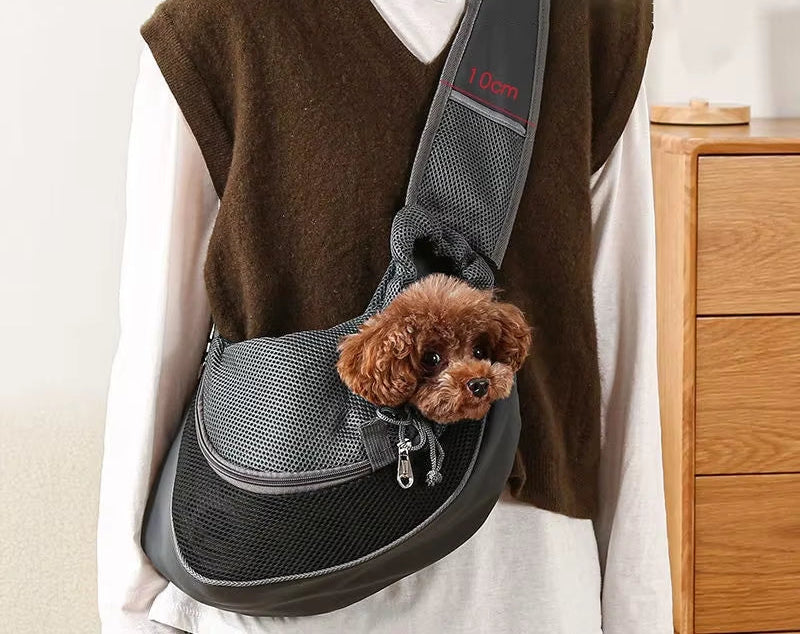 Pet Carrier