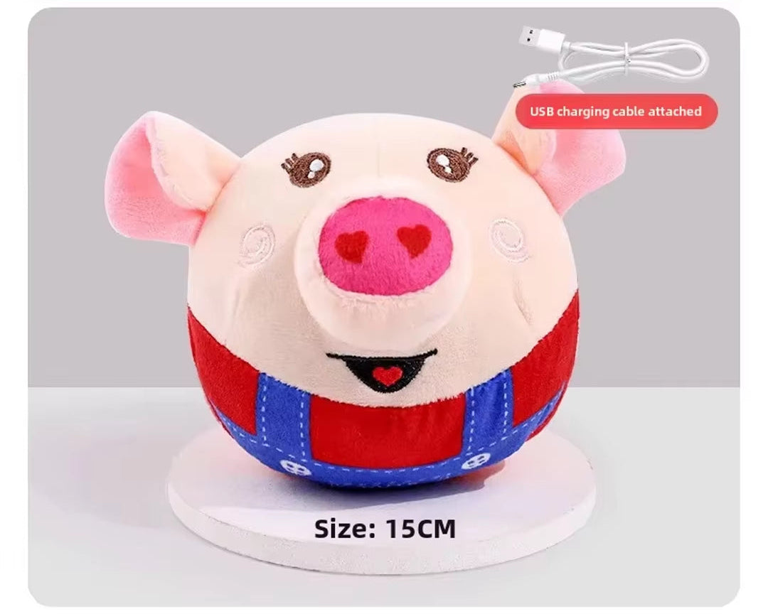 Pet Interactive Toys