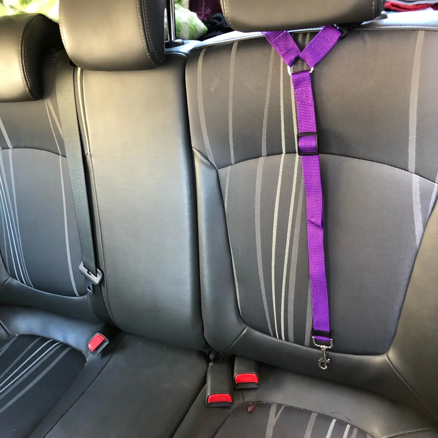 Pet Car Safety Seat Belt