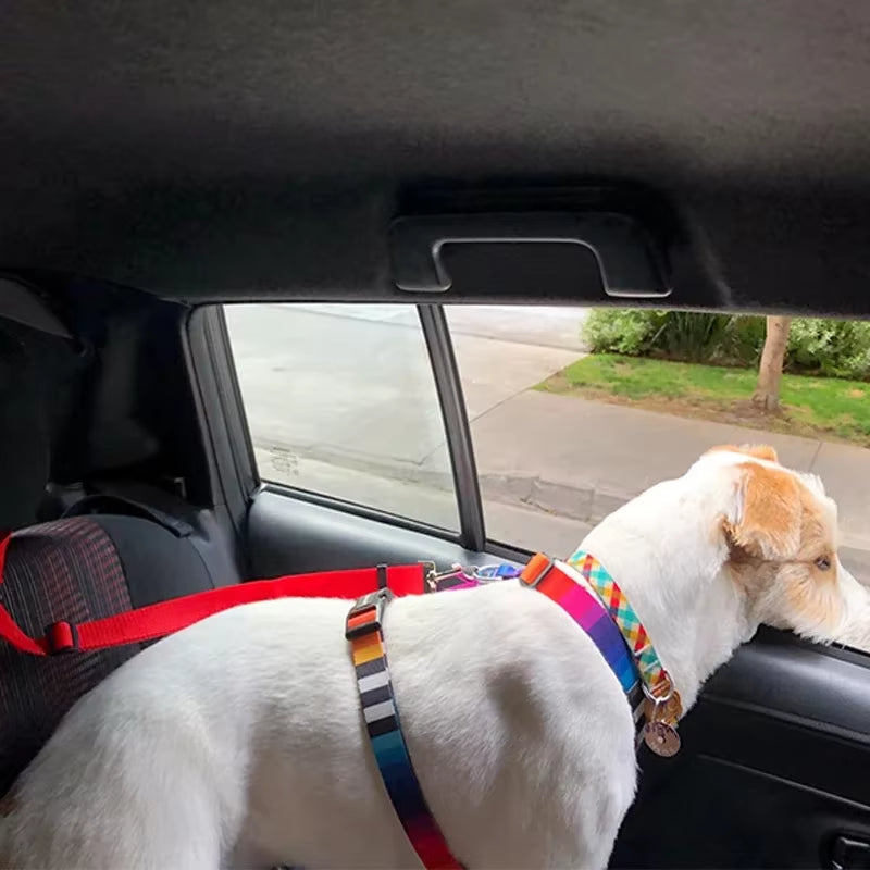 Pet Car Safety Seat Belt
