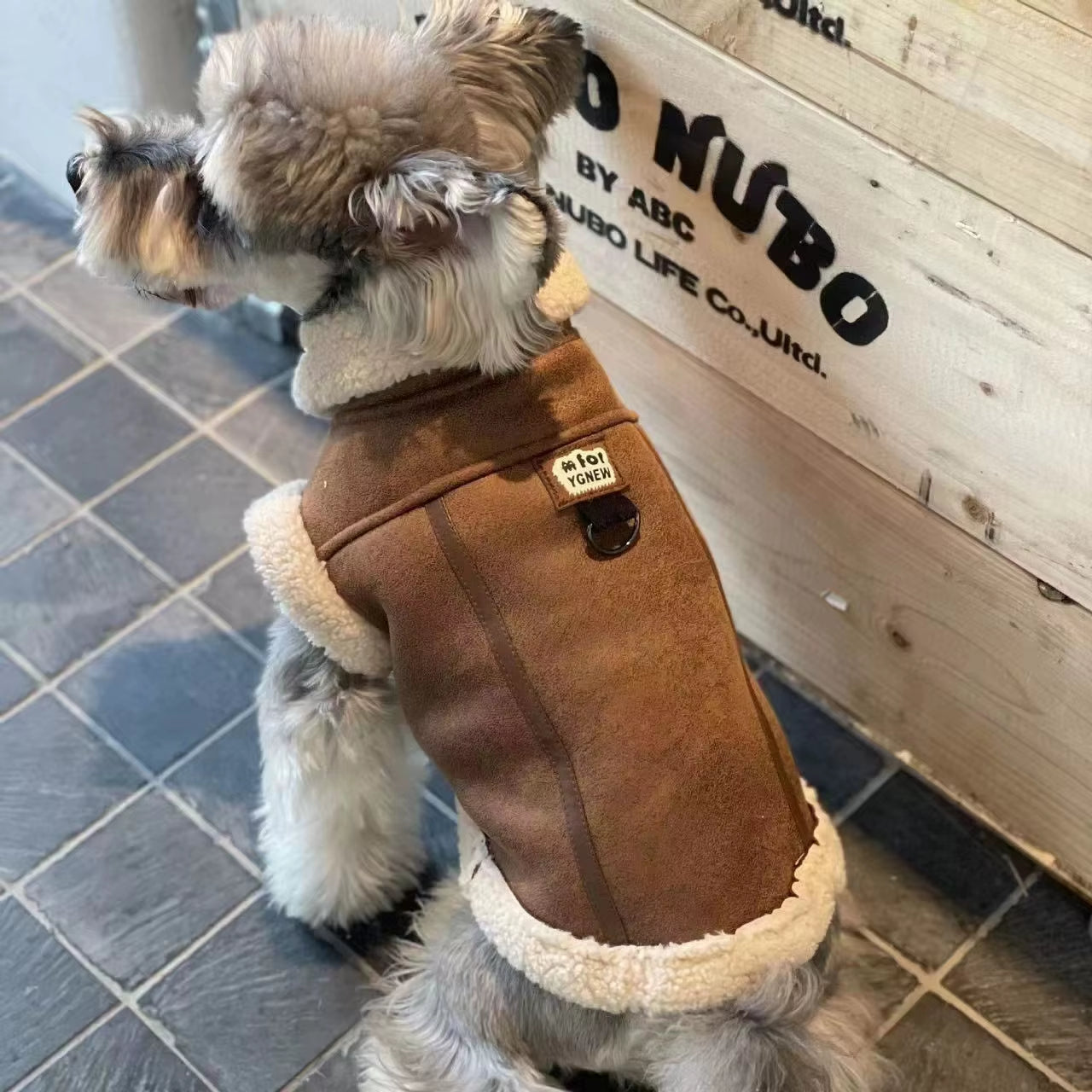 Pet Costumes