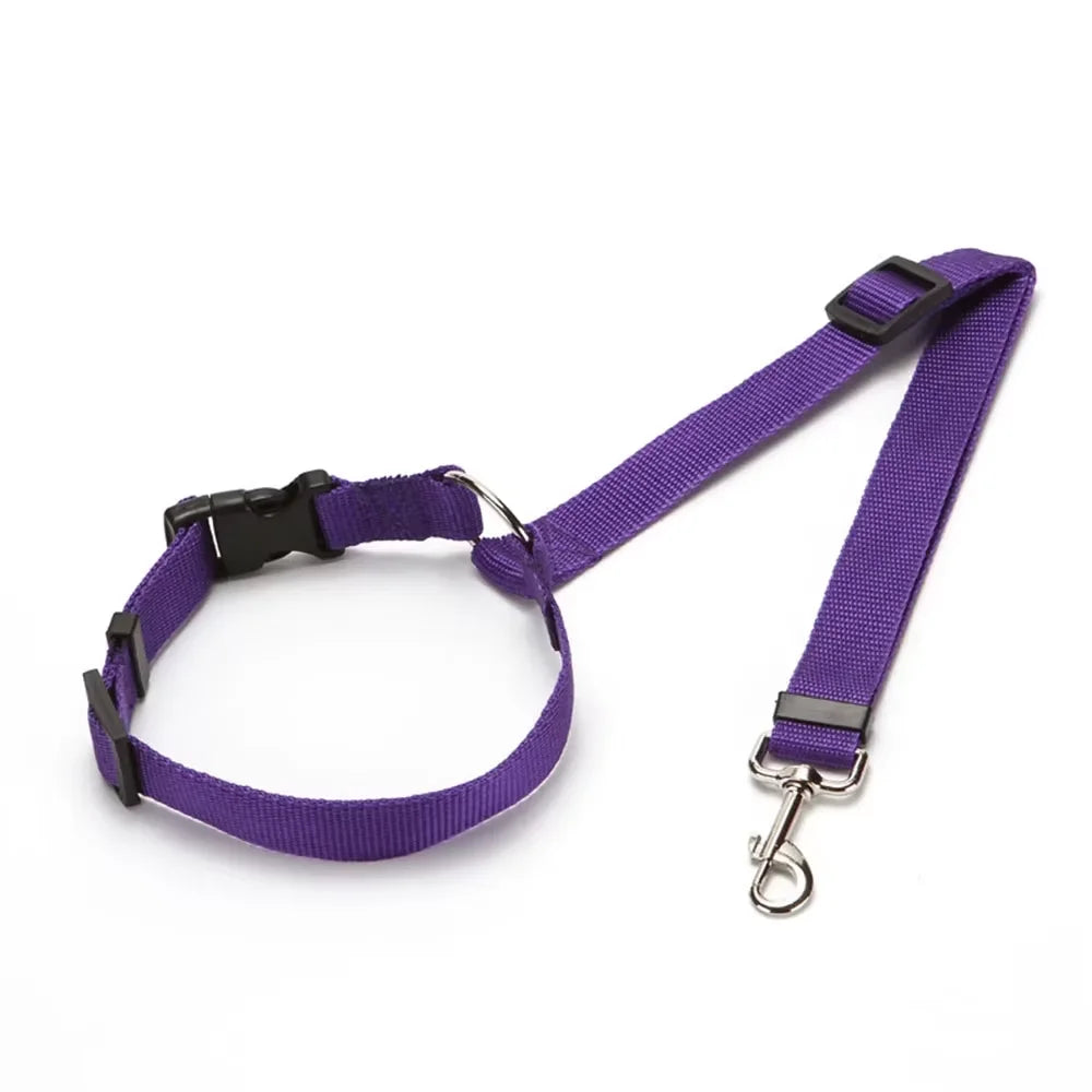 Pet Car Safety Seat Belt