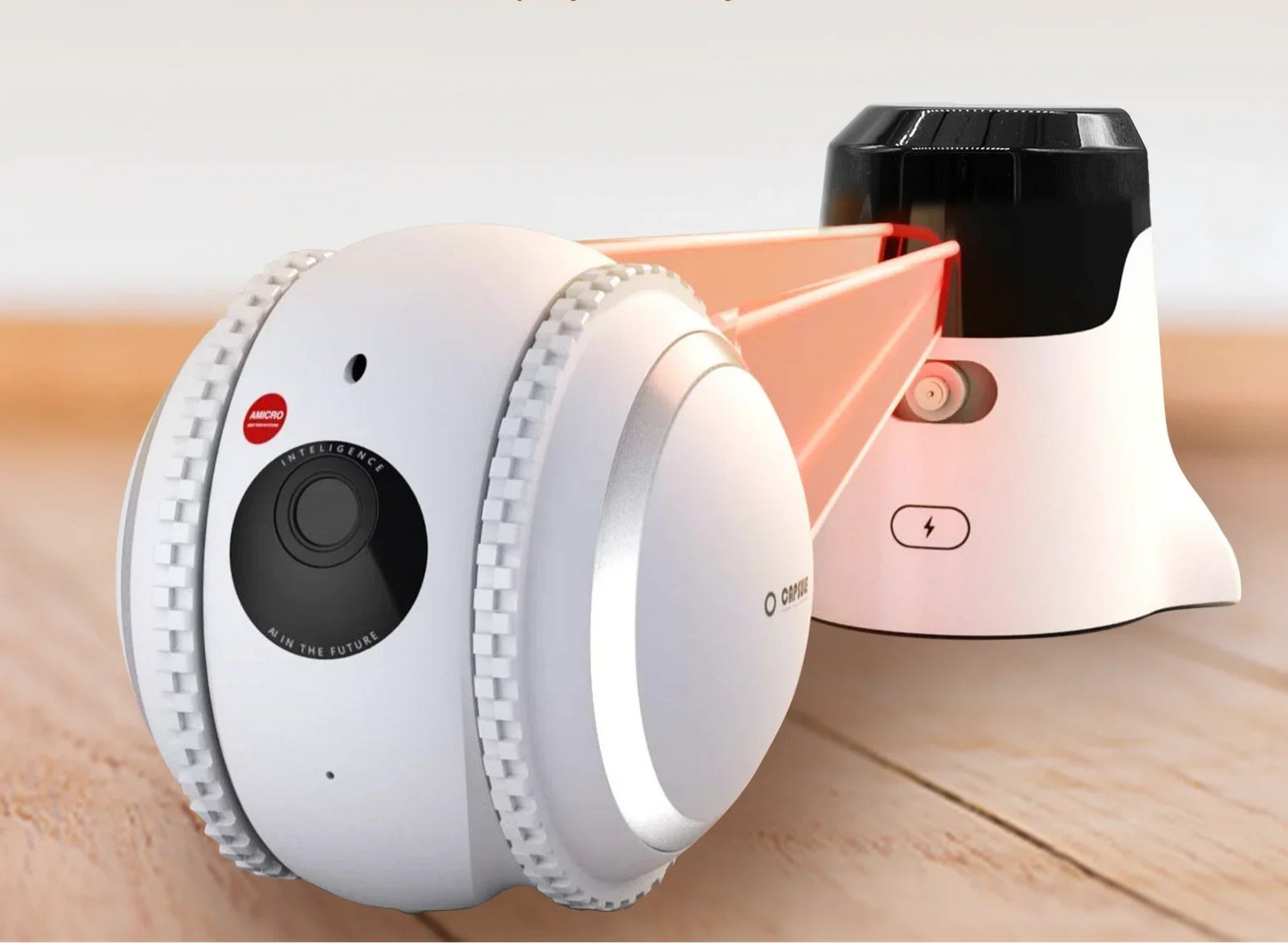 Pet Companion Robot