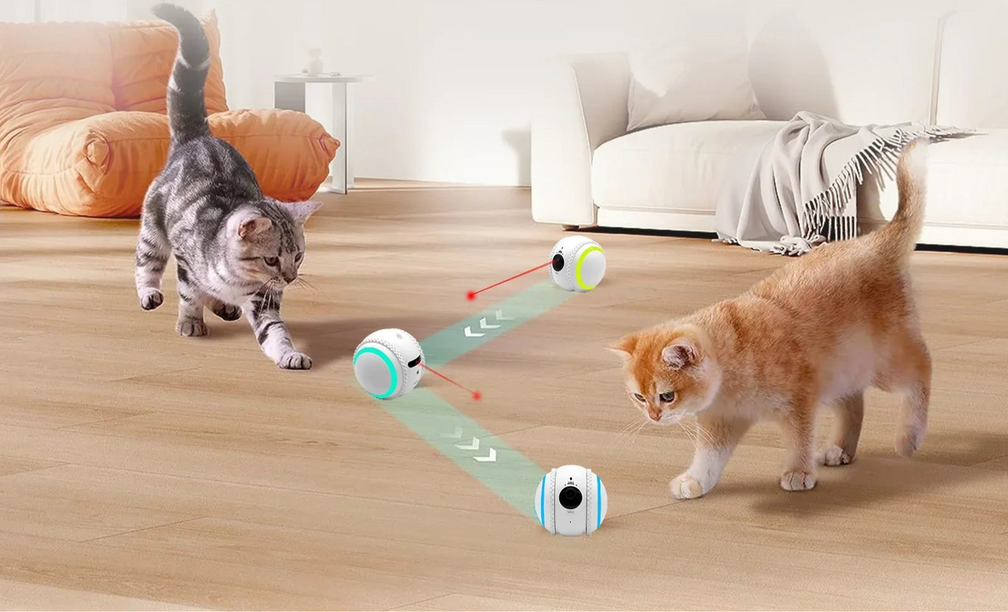 Pet Companion Robot