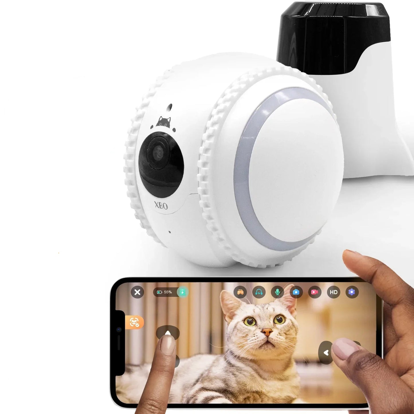 Pet Companion Robot