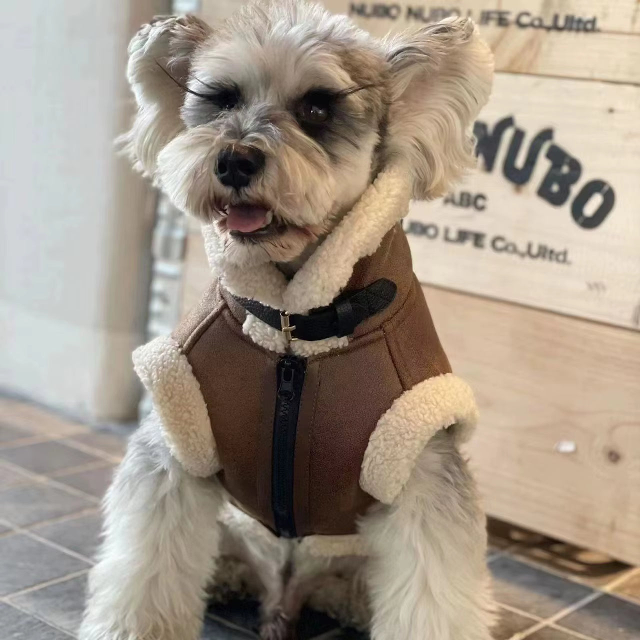 Pet Costumes