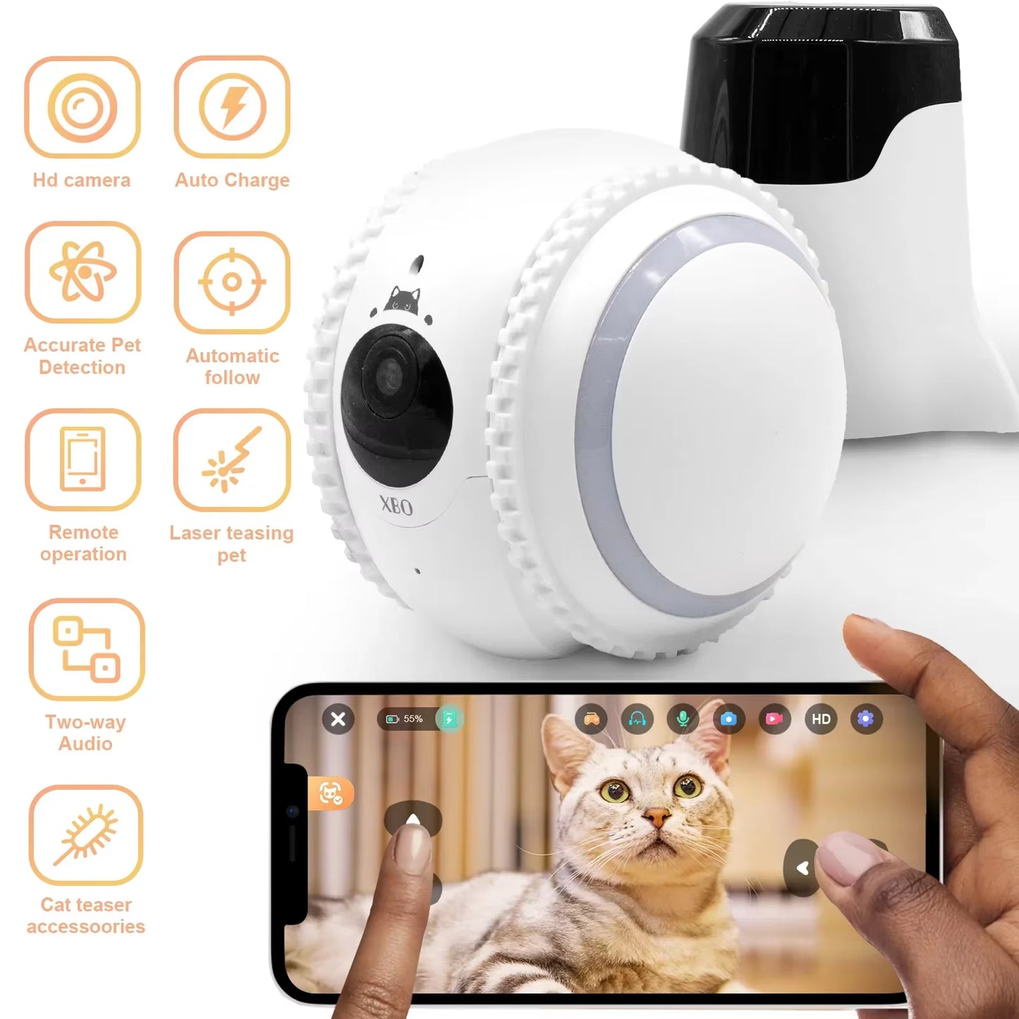 Pet Companion Robot