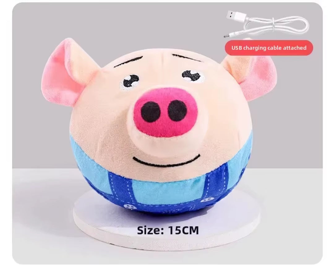 Pet Interactive Toys 